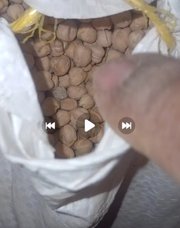 نخود|خوردنی و آشامیدنی|رزن, |دیوار