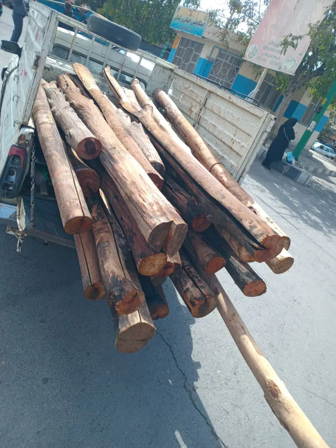 هرس و خرید انواع چوب با بالاترین قیمت|خدمات باغبانی و درختکاری|تویسرکان, |دیوار