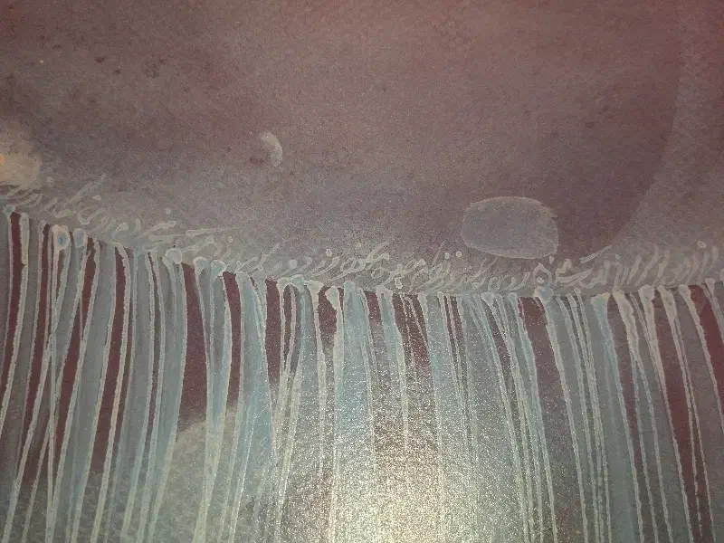 تابلو نقاشی علیرضا کریمپور|تابلو، نقاشی، عکس|شیراز, محمدیه|دیوار