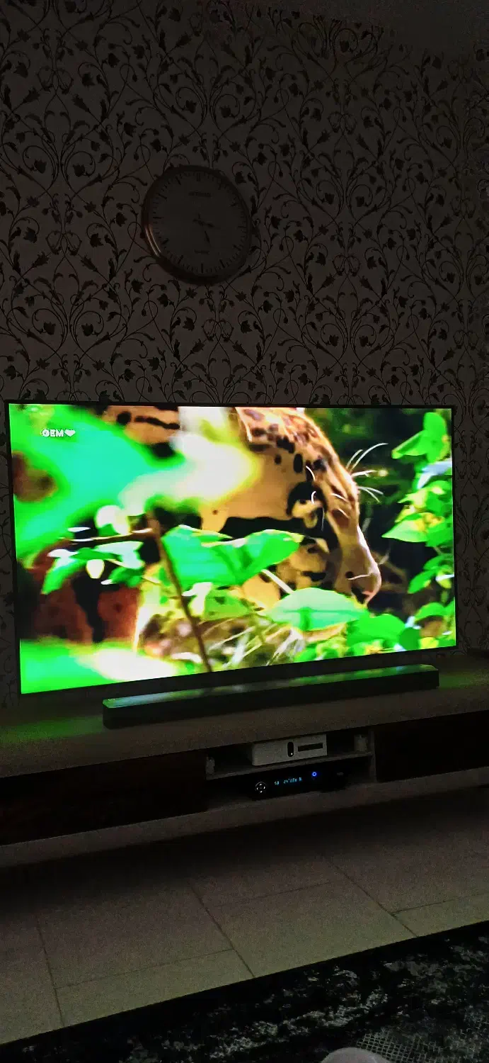 تلوزیون سامسونگ|تلویزیون و پروژکتور|پرند, فاز ۵|دیوار