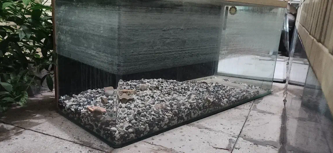 آکواریوم شرکتی یک تیکه|ماهی|قم, بنیاد|دیوار