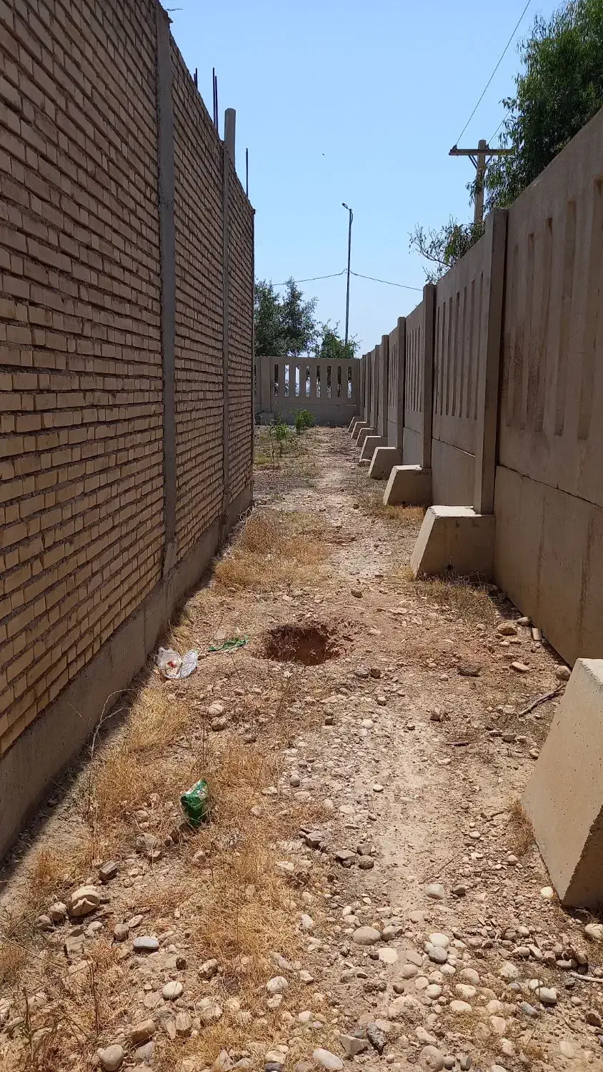 کارهای ساختمانی و باغبانی|خدمات باغبانی و درختکاری|اندیمشک, |دیوار