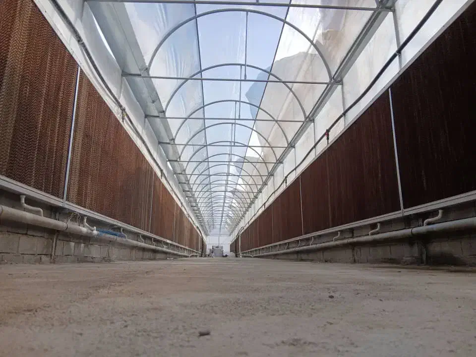 شرکت گلخانه سازان ژیانا آوین آژین زاگرس|خدمات باغبانی و درختکاری|سنندج, |دیوار