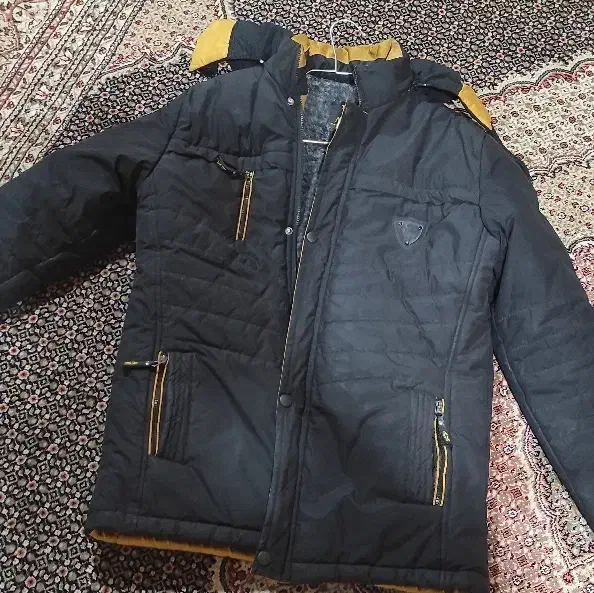 کاپشن داخل پشم خارجی|لباس|دهدشت, |دیوار