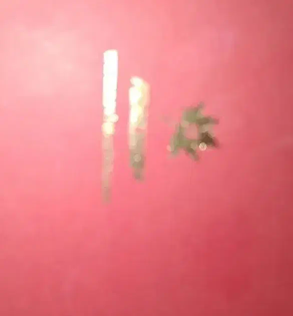 کیف پول نوین چرم|کیف، کفش، کمربند|تهران, سردارجنگل|دیوار