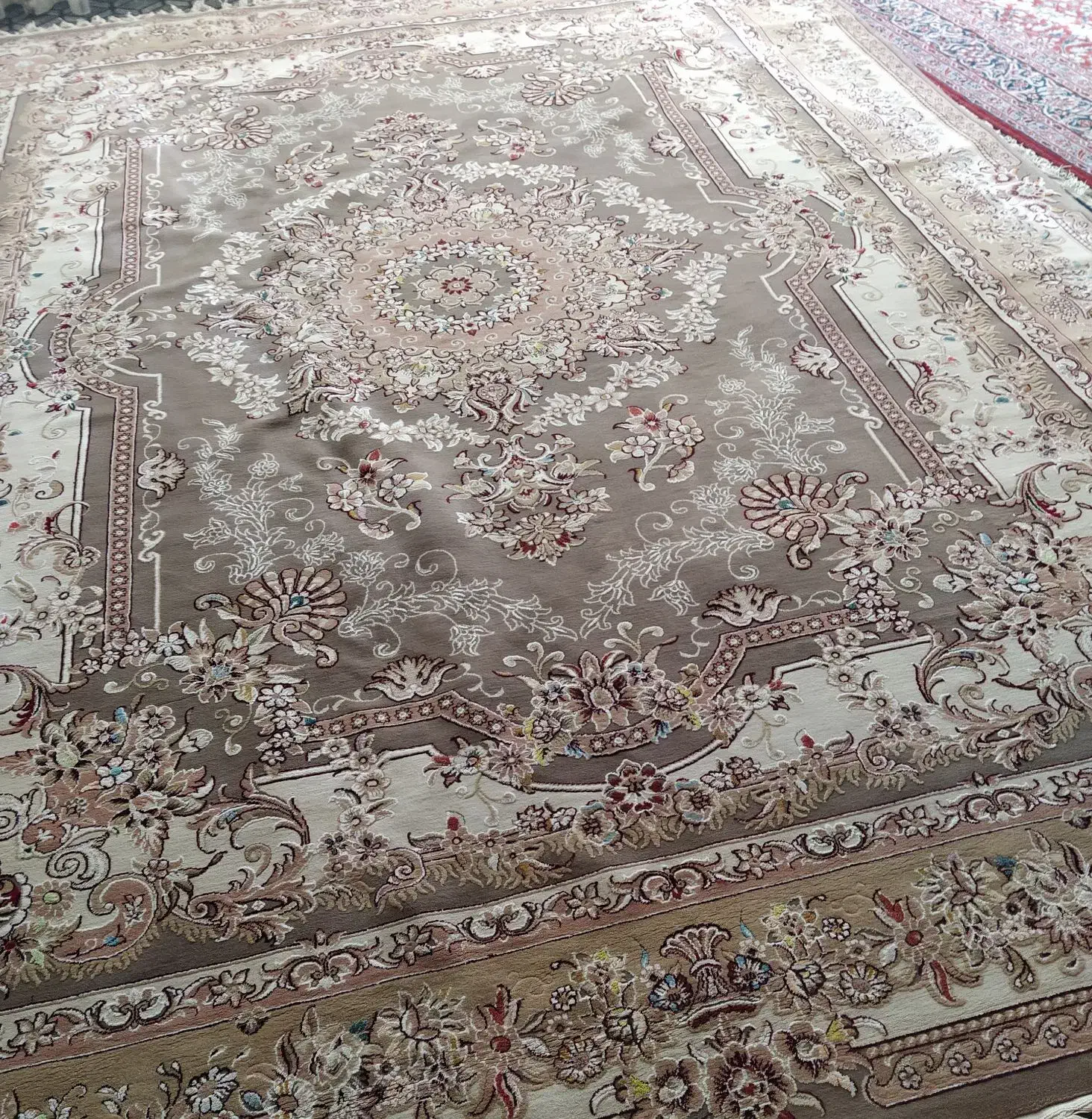 قالی|فرش|سیرجان, |دیوار