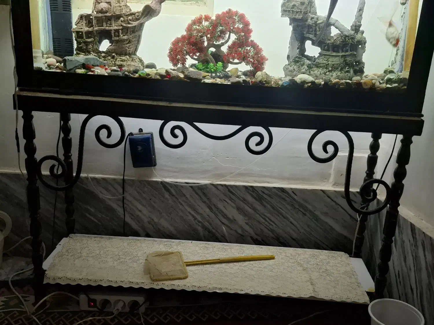 آکواریوم|ماهی|بروجرد, |دیوار