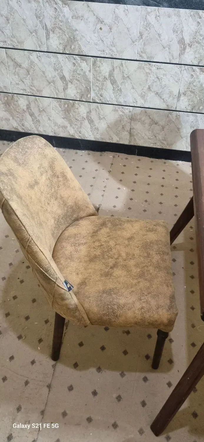 میز غذا خوری|میز و صندلی غذاخوری|کارون, |دیوار