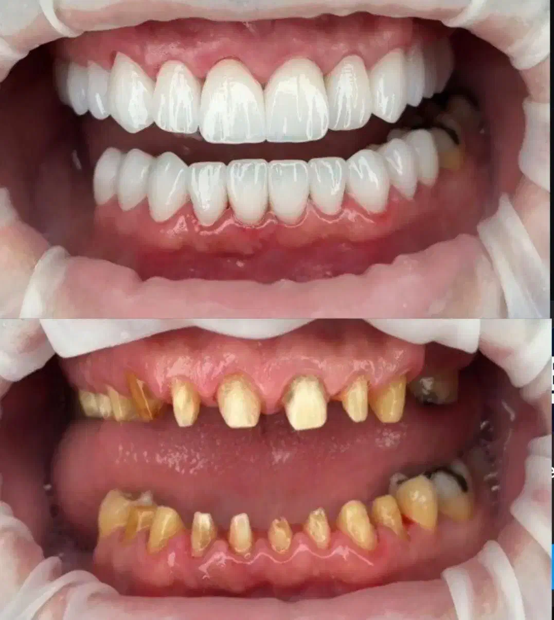 اقساط سیزده ماهه|خوردنی و آشامیدنی|تبریز, |دیوار