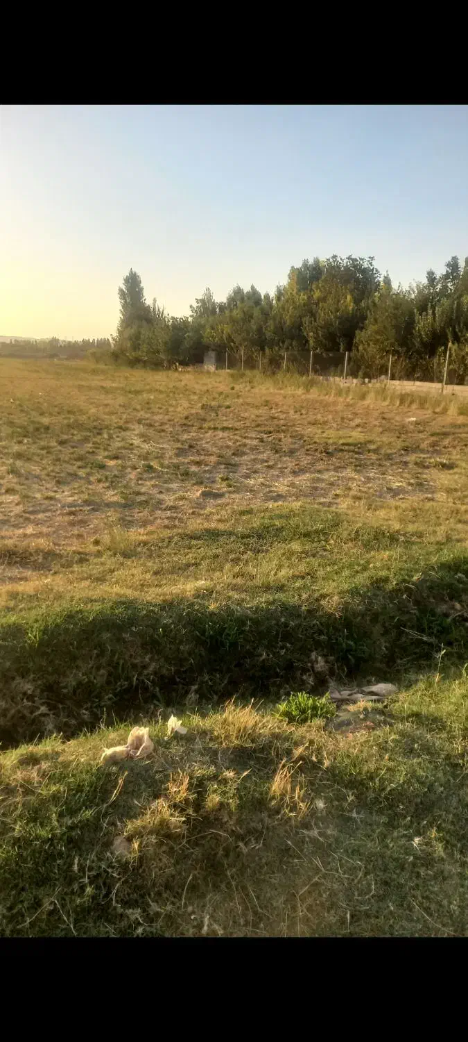 پیشک2خیابان خانم عطایی زمین خالی 4تا قطعه 500متری|فروش زمین و ملک کلنگی|ماهدشت, |دیوار