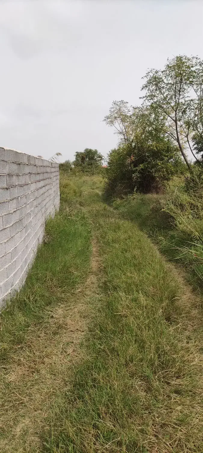 فروش زمین در جاده گهرباران ساری|فروش زمین و ملک کلنگی|طبقده, |دیوار