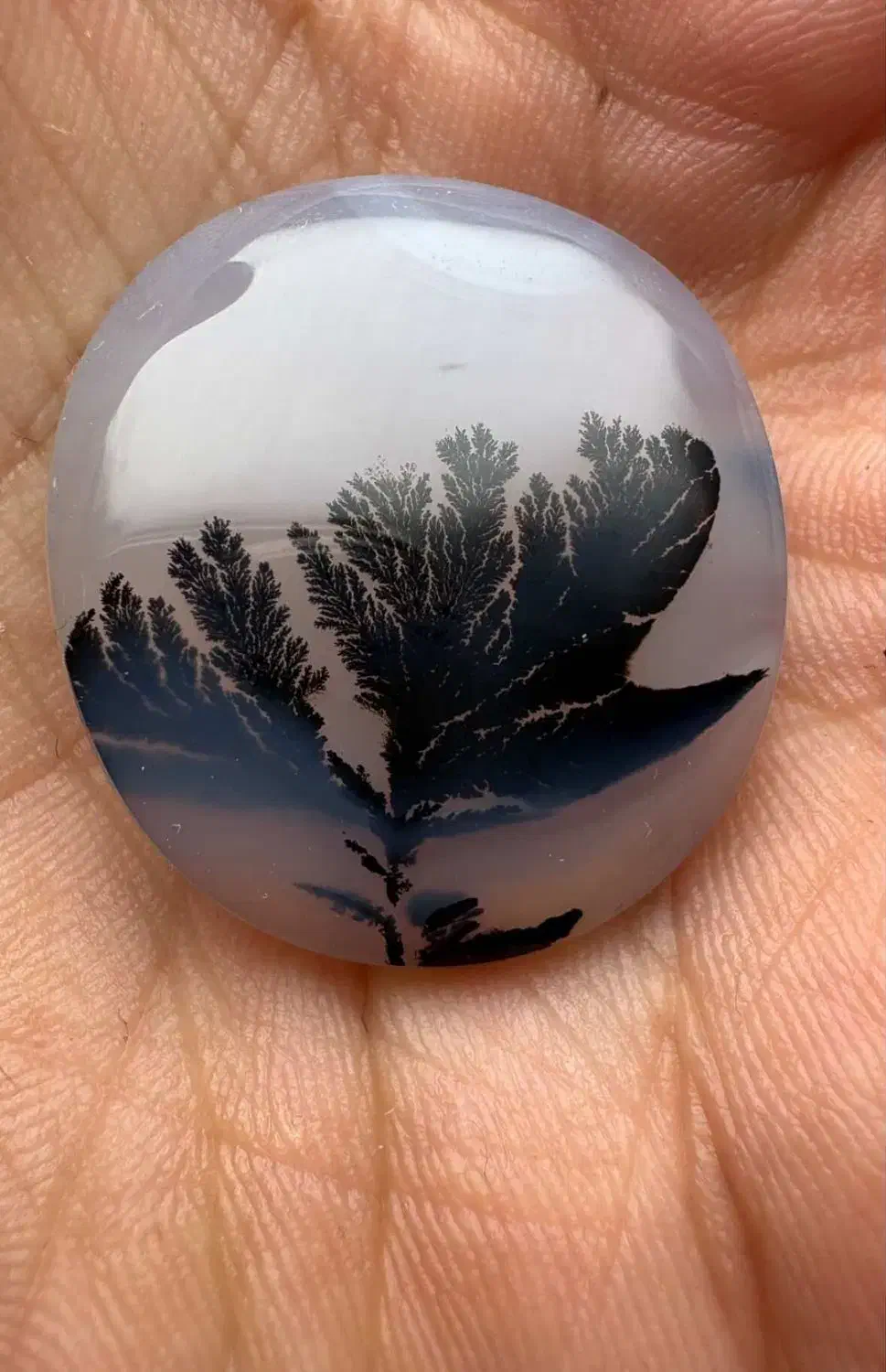 دو عدد سنگ شجر فوق کلوکسیونی|جواهرات|اردبیل, |دیوار