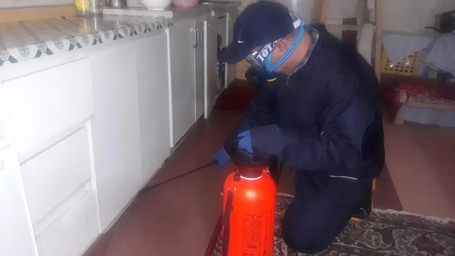 سمپاشی و کنترل افات بهداشتی ( سوسک ساس ...|خدمات نظافت|فاضل آباد, |دیوار