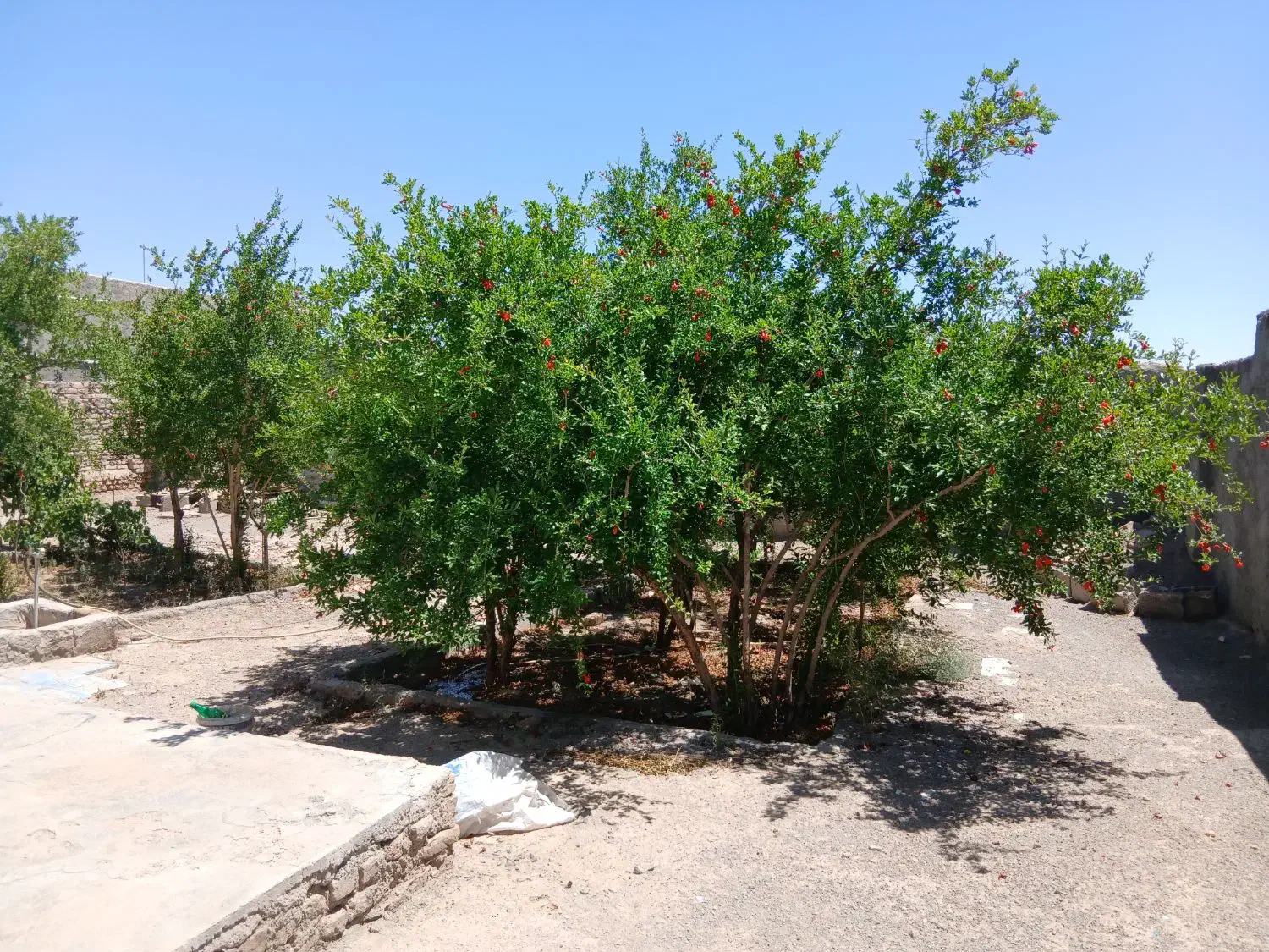 منزل فروشی|فروش خانه و ویلا|اسلامیه, |دیوار