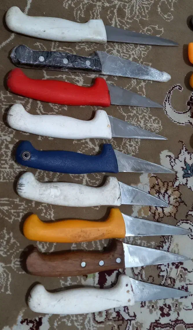 چاقوهای بیخصی وبرش|ظروف پختوپز|تهران, اسفندیاری|دیوار