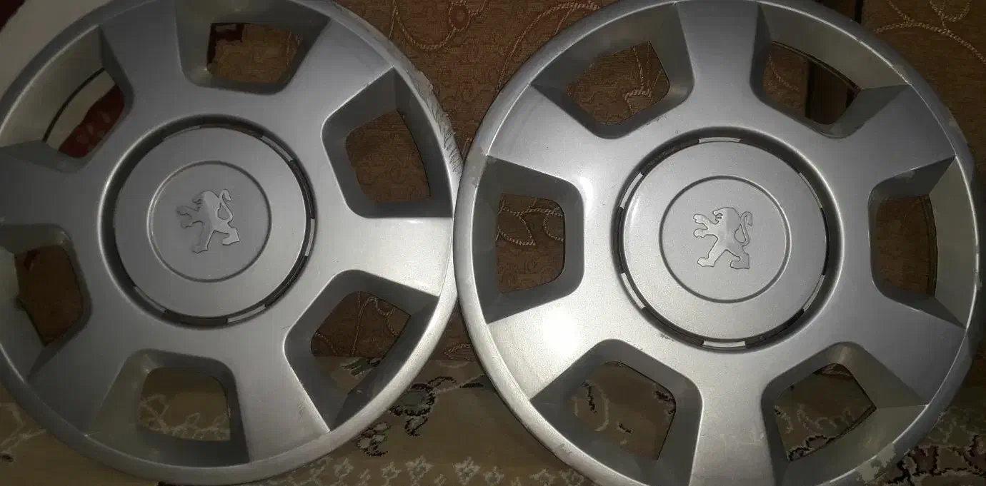 قالپاق پژو|فعالیت داوطلبانه|خرم‌آباد, |دیوار