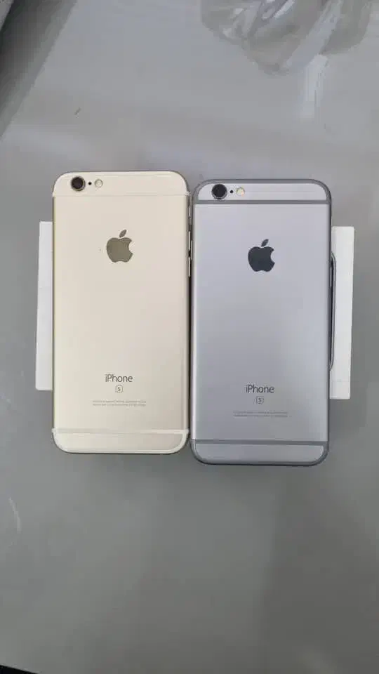 دو عدد آیفون 6S (با جعبه و انتقال مالکیت)|موبایل|تهران, دریا|دیوار