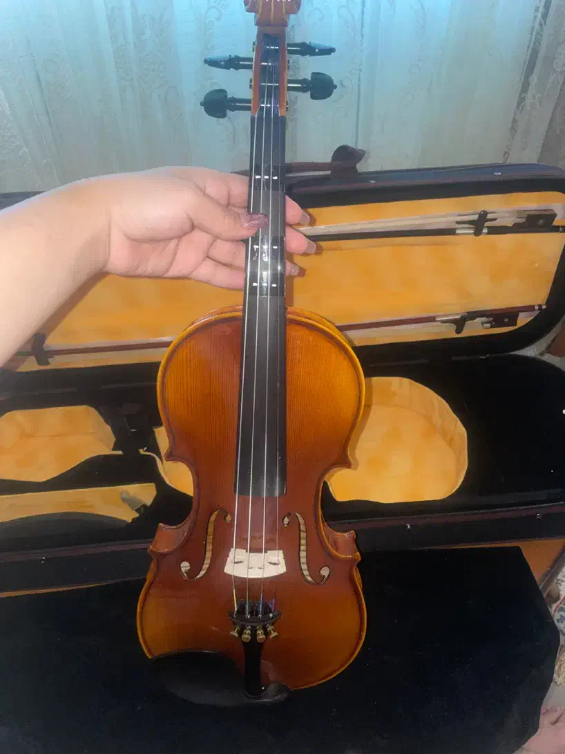 ویلن ویولن ویولون|ویولن|مشهد, احمدآباد|دیوار