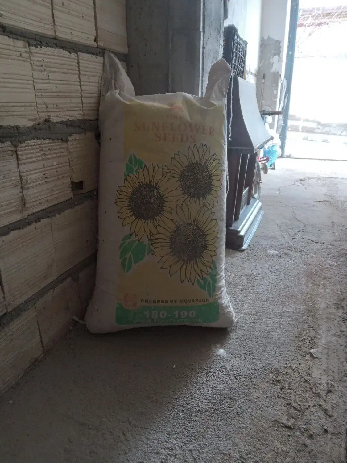 تخمه|عمده‌فروشی|تکاب, |دیوار