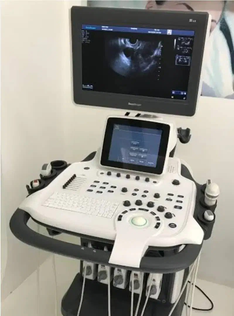 سونوگرافی رنگی sonoscape|پزشکی|تهران, دریا|دیوار