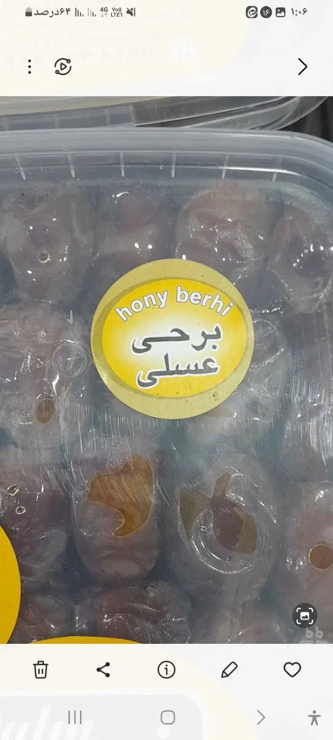 محصول جنوب|عمدهفروشی|شادگان, |دیوار