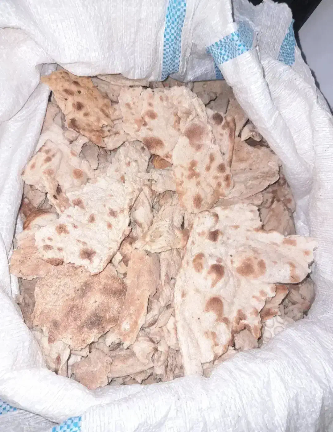 نون خشک|لوازم جانبی حیوانات|مشهد, کوشش|دیوار