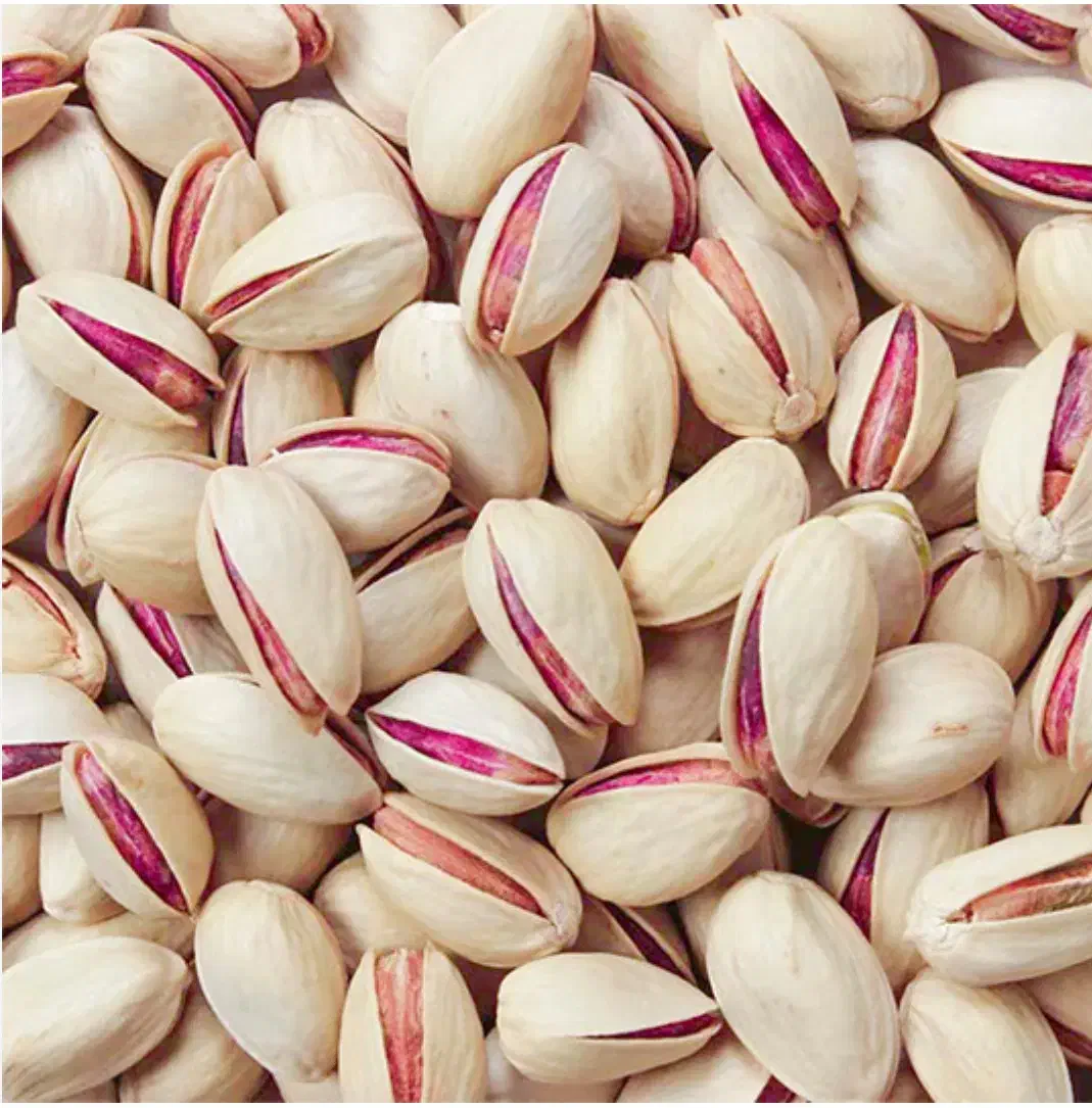 پسته خشک امسال|خوردنی و آشامیدنی|قم, لبچال|دیوار