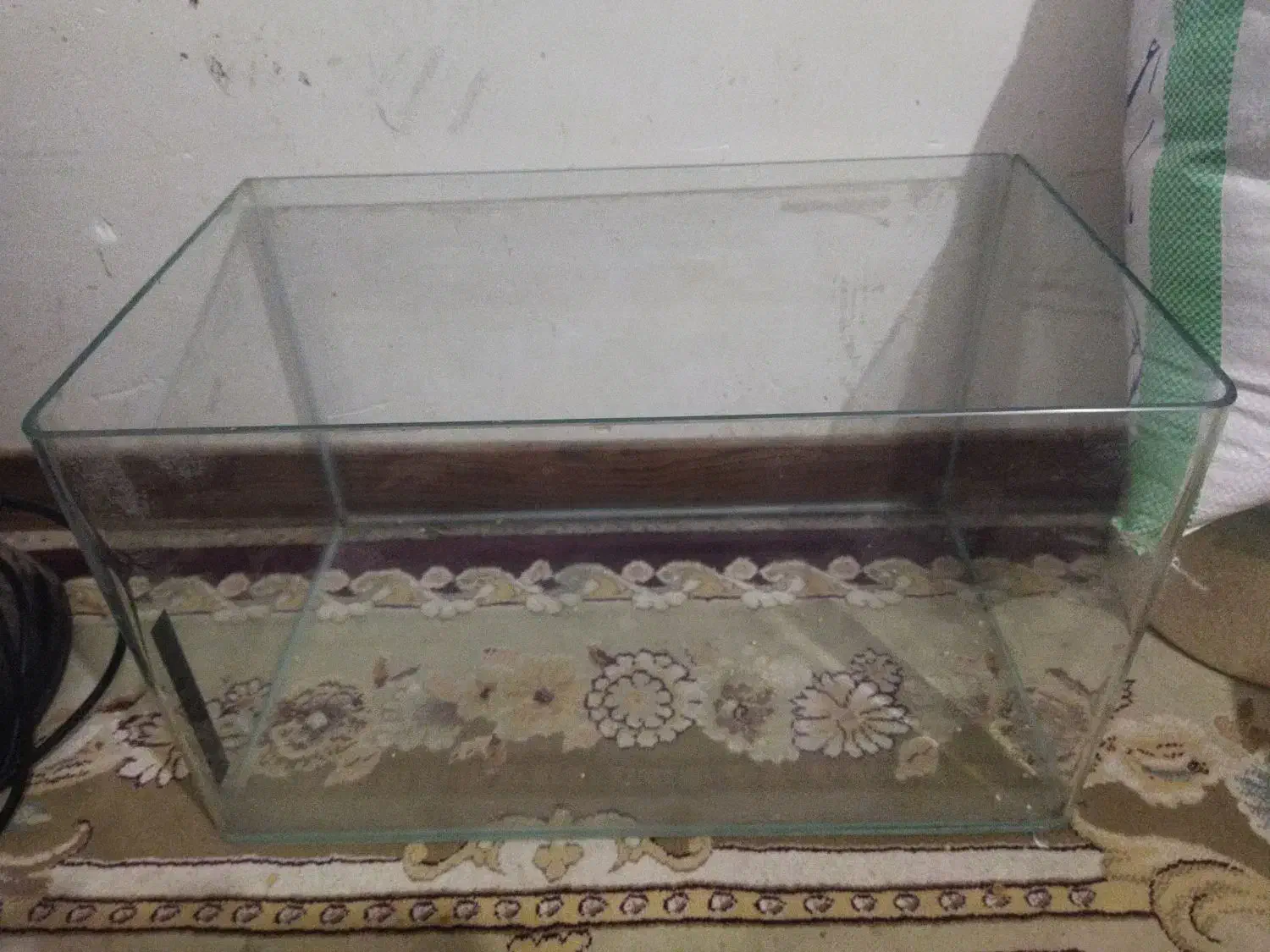 آکواریوم کبوتر قناری پرنده پلاکی دورگ پلاکی|ماهی|فولادشهر, مسکن مهر فولادشهر|دیوار