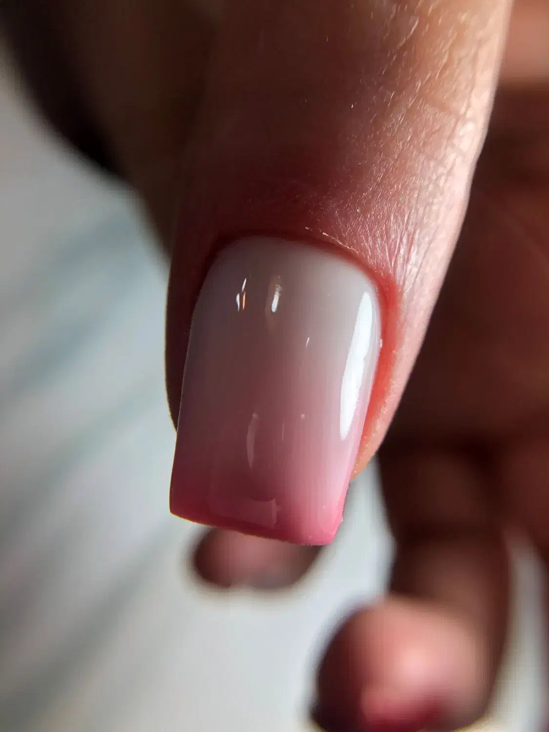 مدل کاشت و ترمیم تخصصی در شاندرمن|خدمات آرایشگری و زیبایی|شاندرمن, |دیوار