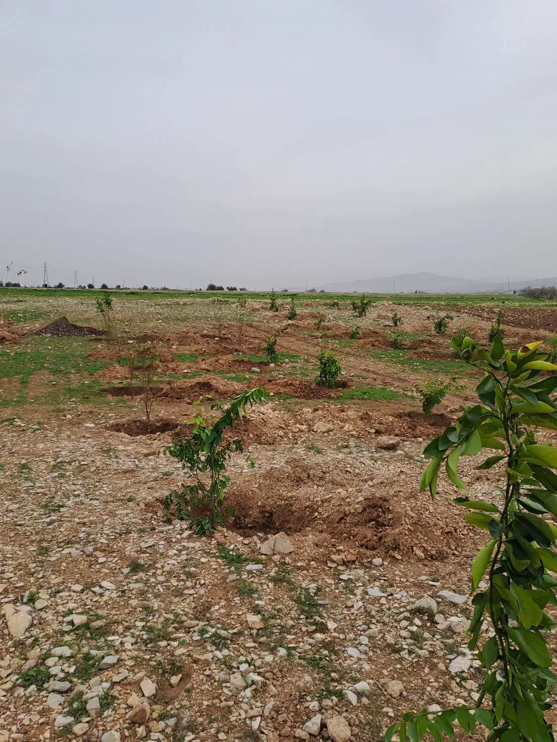 کویک ۱۴۰۲ gxr|خودرو سواری و وانت|ایلام, |دیوار