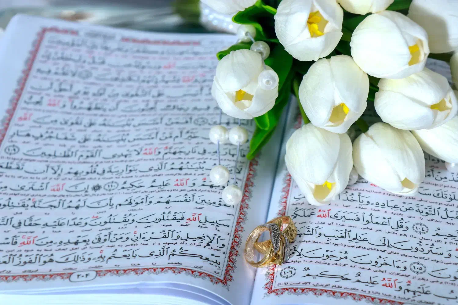 عکاسی و فیلمبرداری مجالس|خدمات پذیرایی، مراسم|نیشابور, هفده شهریور|دیوار