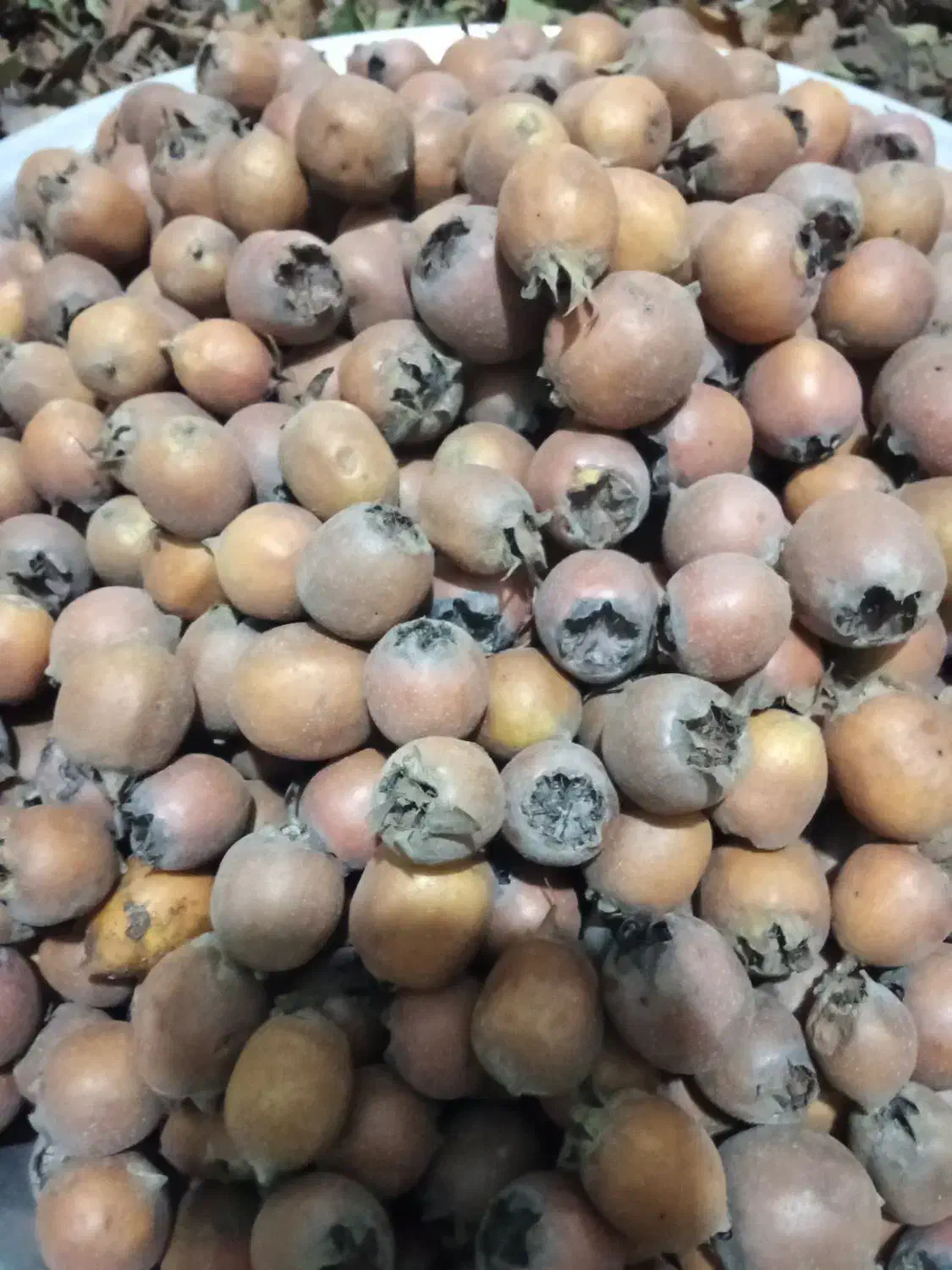 کنس فروشی|خوردنی و آشامیدنی|دوزین, |دیوار