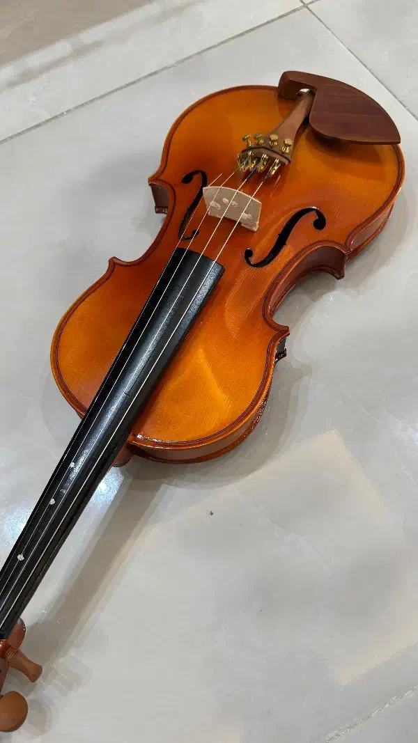 ویولن کارل هافنر|ویولن|زنجان, |دیوار