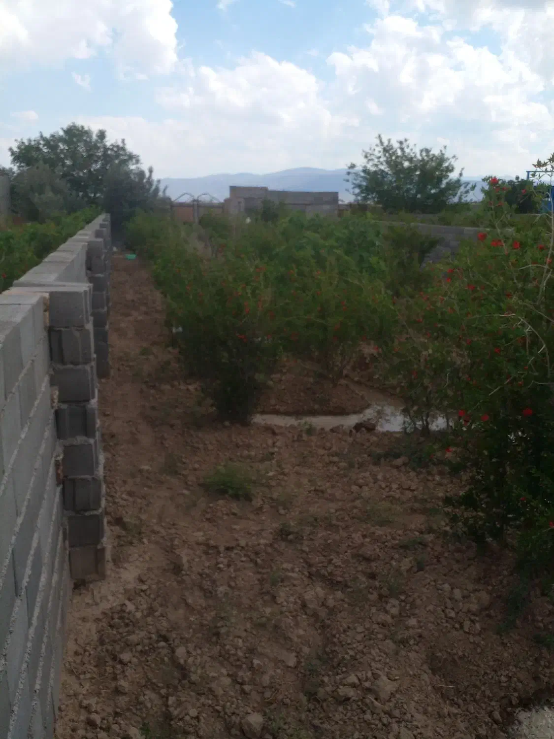 باغچه چهار دیواری|فروش خانه و ویلا|تهران, شهرک شریفی|دیوار