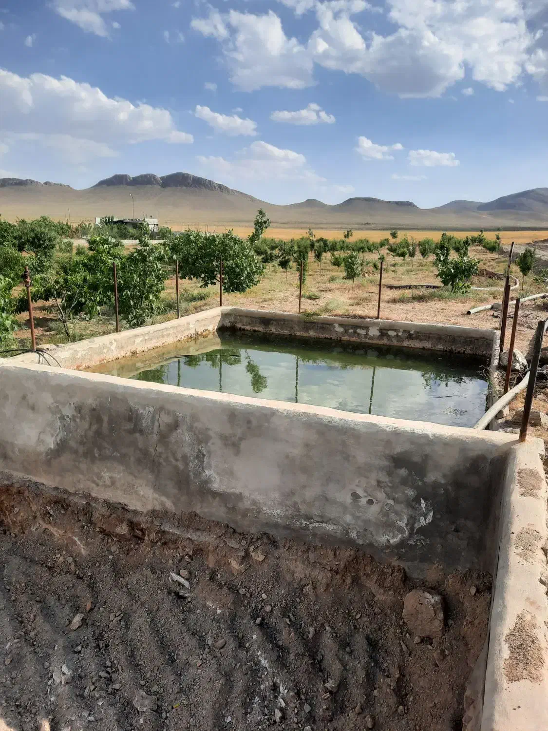 زمین با مجوز گلخانه|فروش دفتر صنعتی، کشاورزی، تجاری|تیران, |دیوار