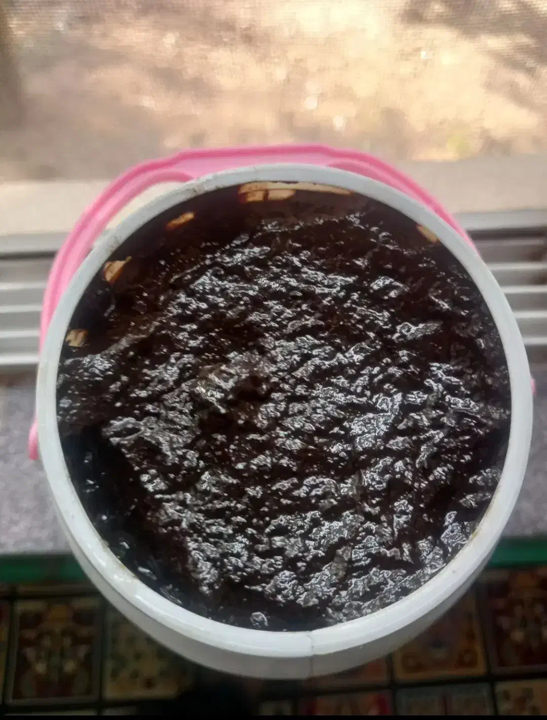 خروس قرمز اوردک و رب انار محلی|حیوانات مزرعه|گوراب زرمیخ, |دیوار