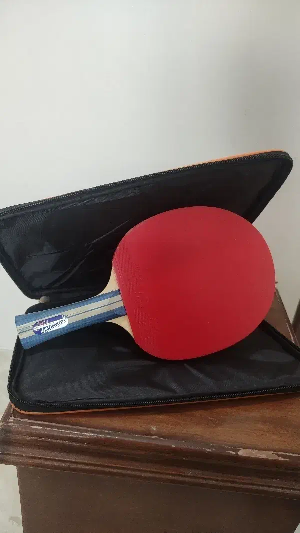 راکت پینگ پنگ تنیس|ورزش‌های توپی|اصفهان, نقش جهان|دیوار