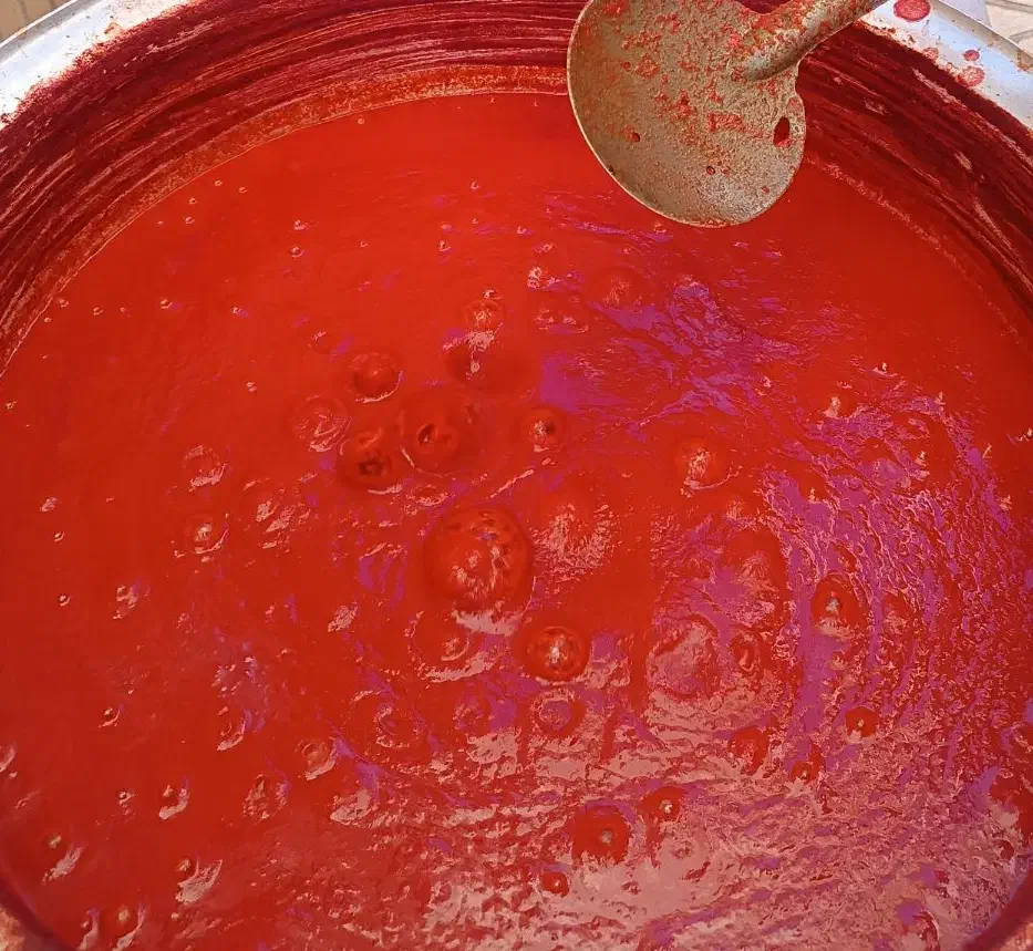 رب خانگی|خوردنی و آشامیدنی|سبزوار, هویزه|دیوار