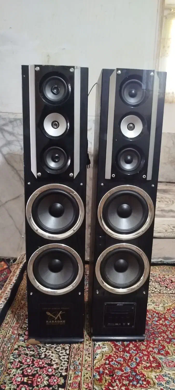 جفت اسپیکر کارائوکه|سیستم صوتی خانگی|کرمان, |دیوار