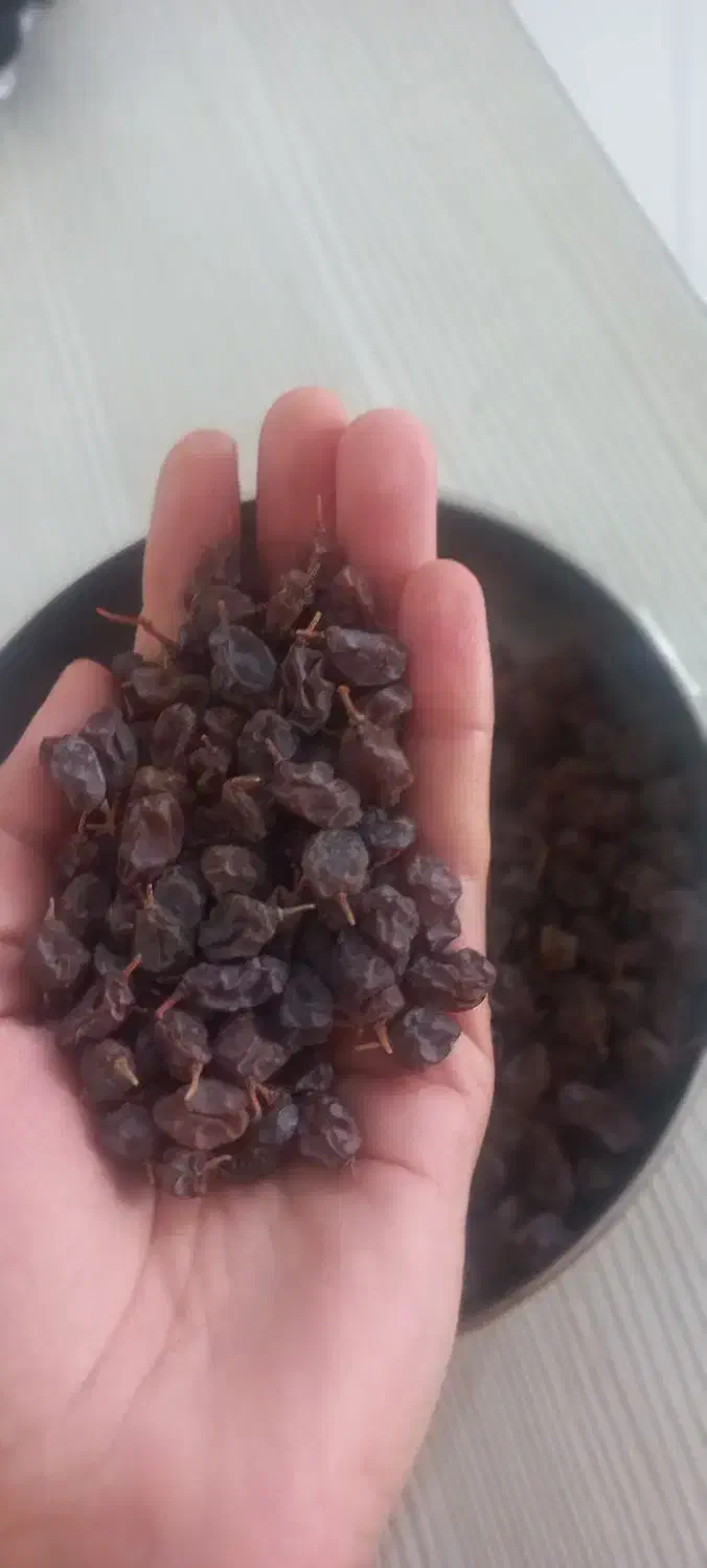 شیره انگور وکشمش درجه ۱|خوردنی و آشامیدنی|خرمدره, |دیوار