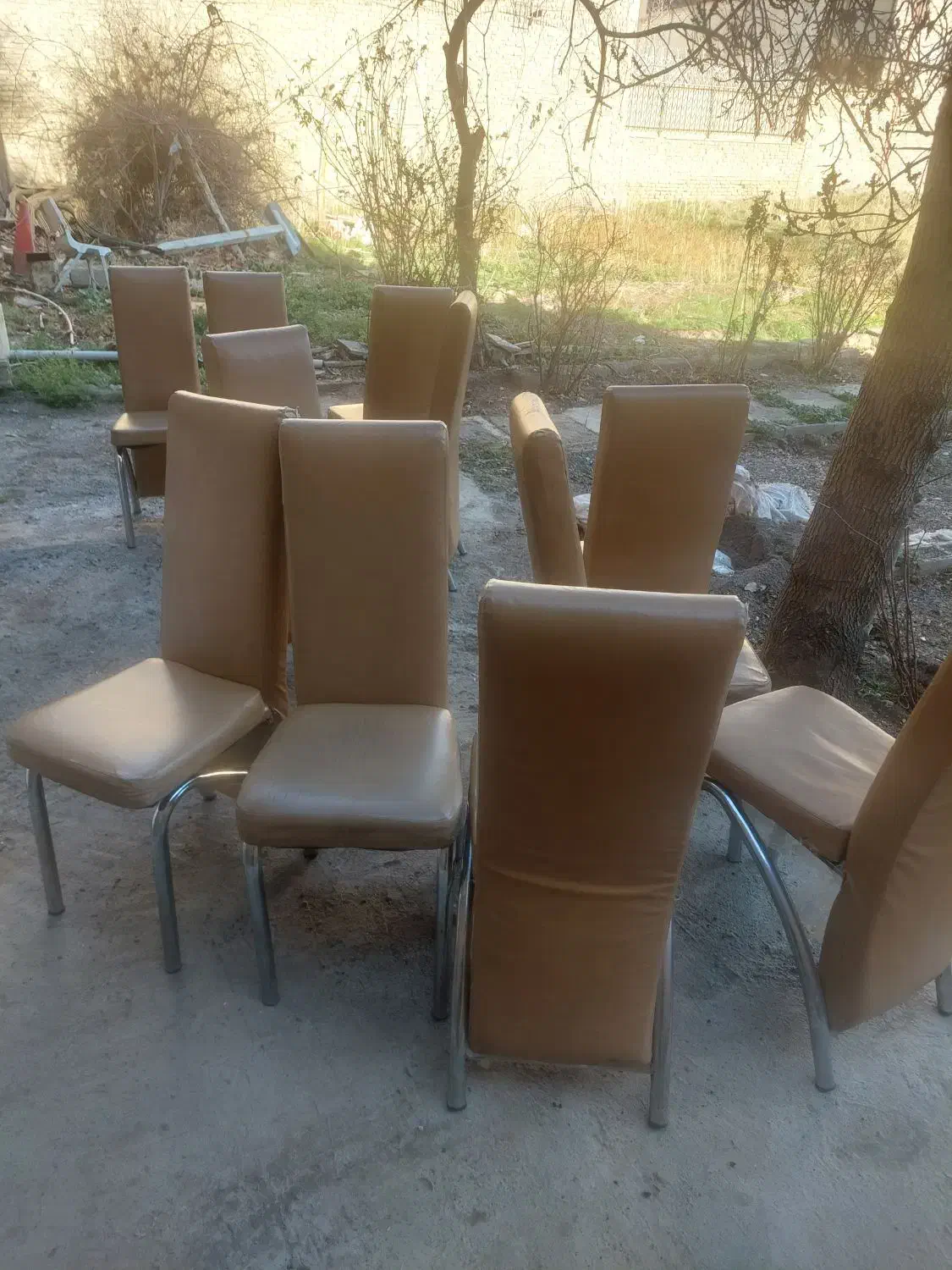 تعداد۲۴عدد صندلی رستورانی|کافیشاپ و رستوران|طرقبه, |دیوار