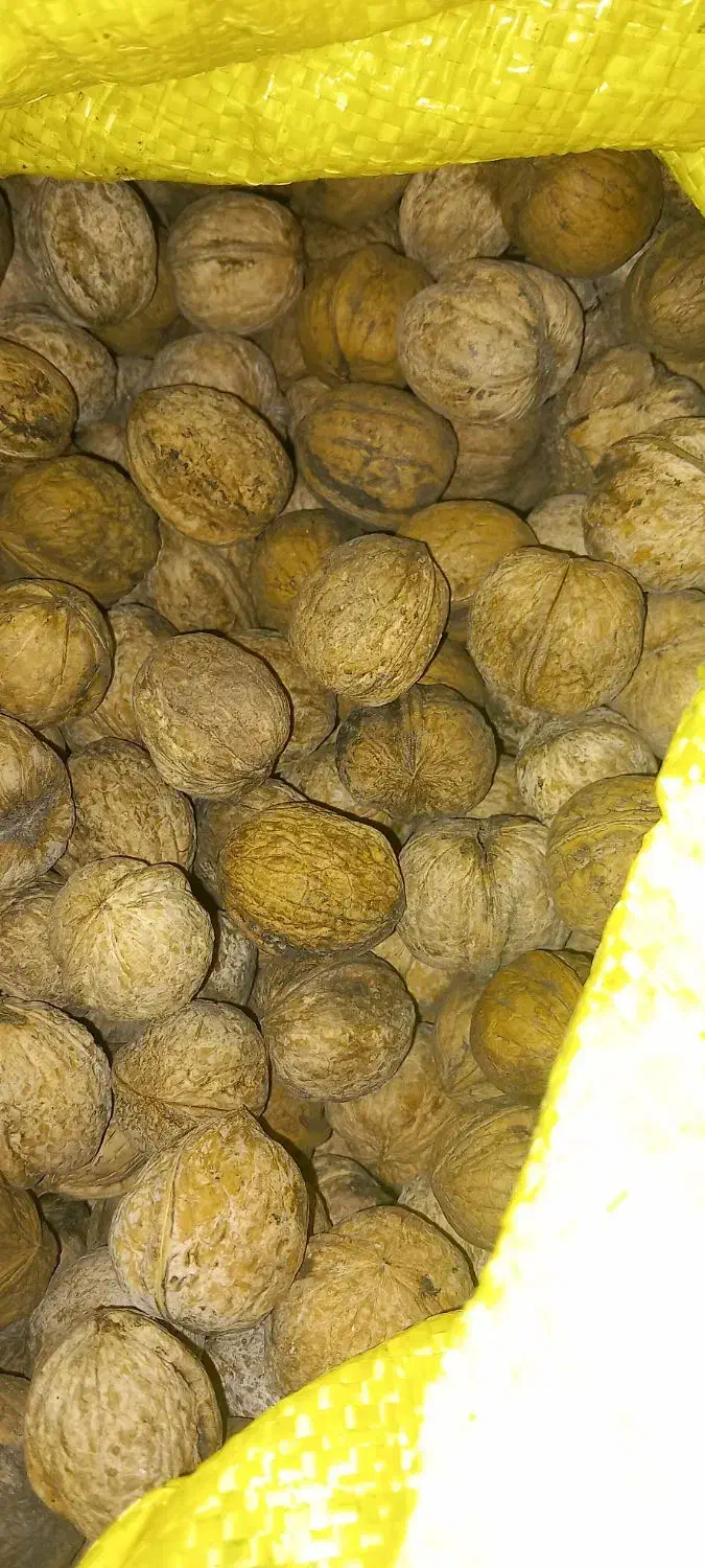 گردو درجه یک|خوردنی و آشامیدنی|تهران, حکیمیه|دیوار