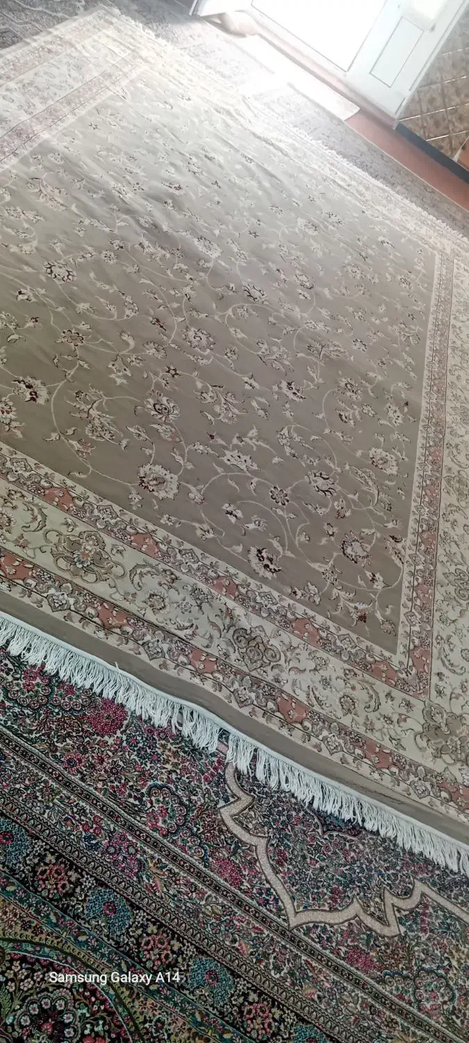 فرش ۹متری بسیار تمیز|فرش|آق قلا, |دیوار