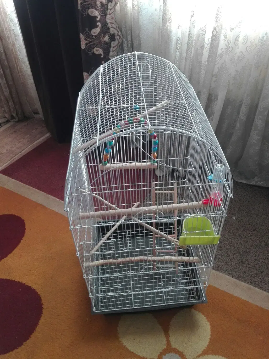 قفس زینتی بزرگ با وسایل کامل توضیحات بخونید|لوازم جانبی حیوانات|فولادشهر, A2|دیوار