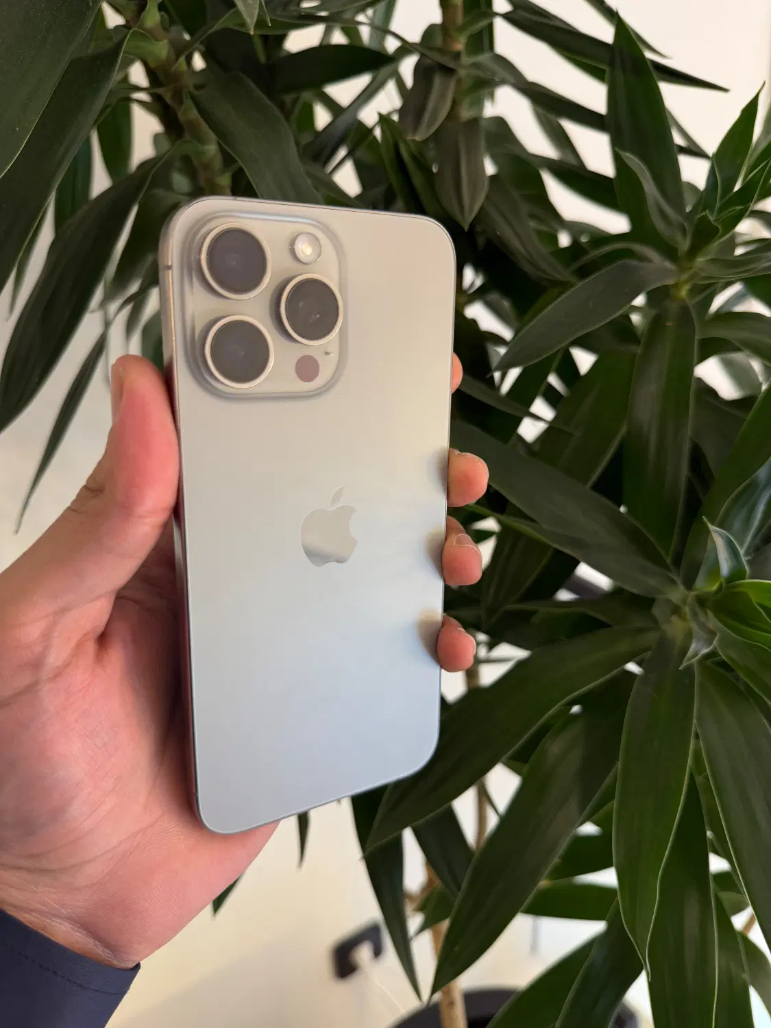 apple 15 pro max za با چک و ضمانت طلا|موبایل|مشهد, احمدآباد|دیوار