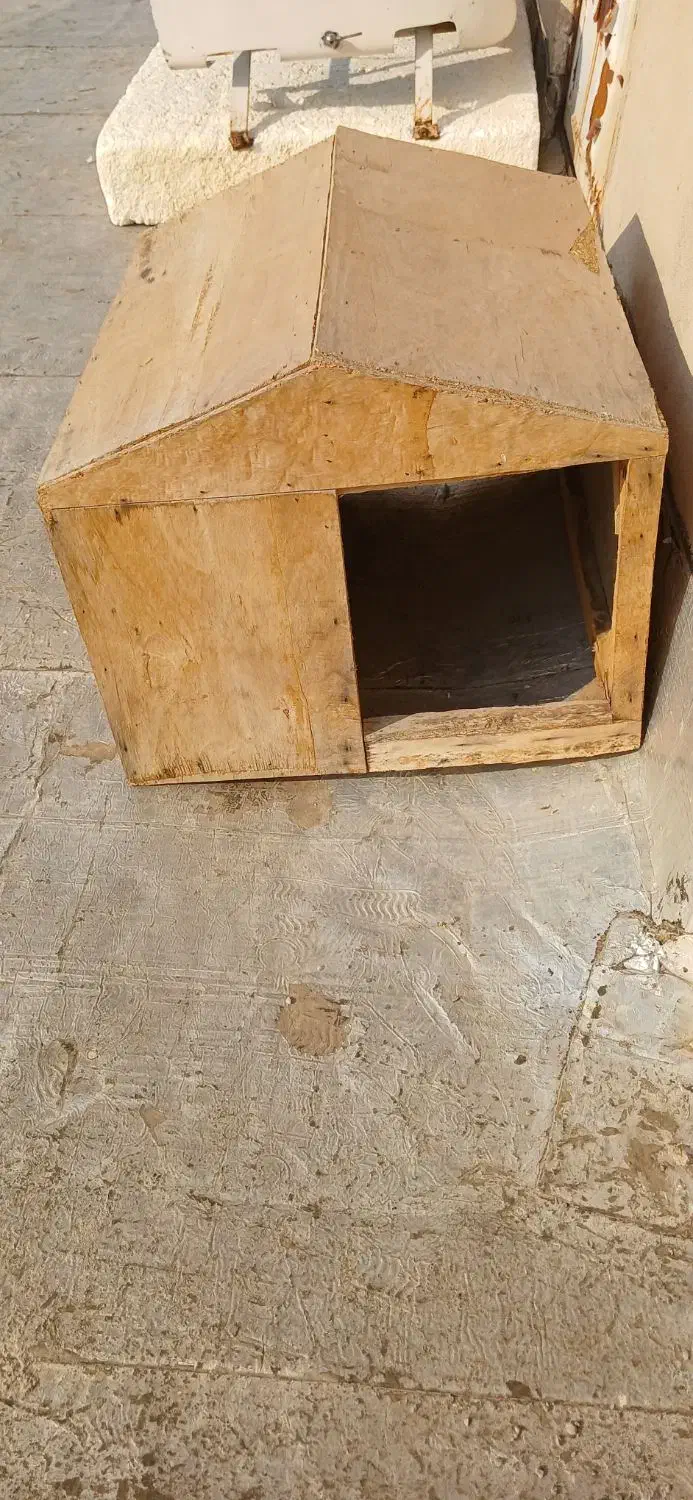 لانه سگ یاگربه|لوازم جانبی حیوانات|شیراز, کوشک میدان|دیوار