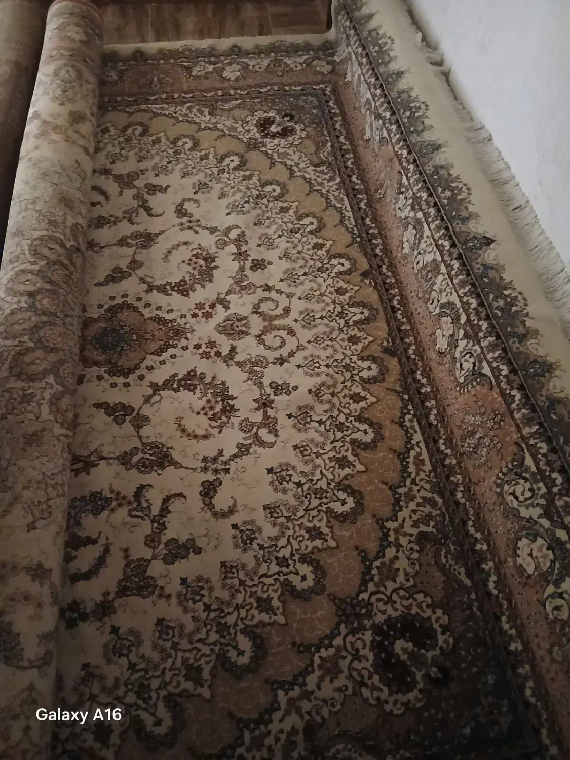 قالی وبالش|فرش|دوگنبدان, |دیوار