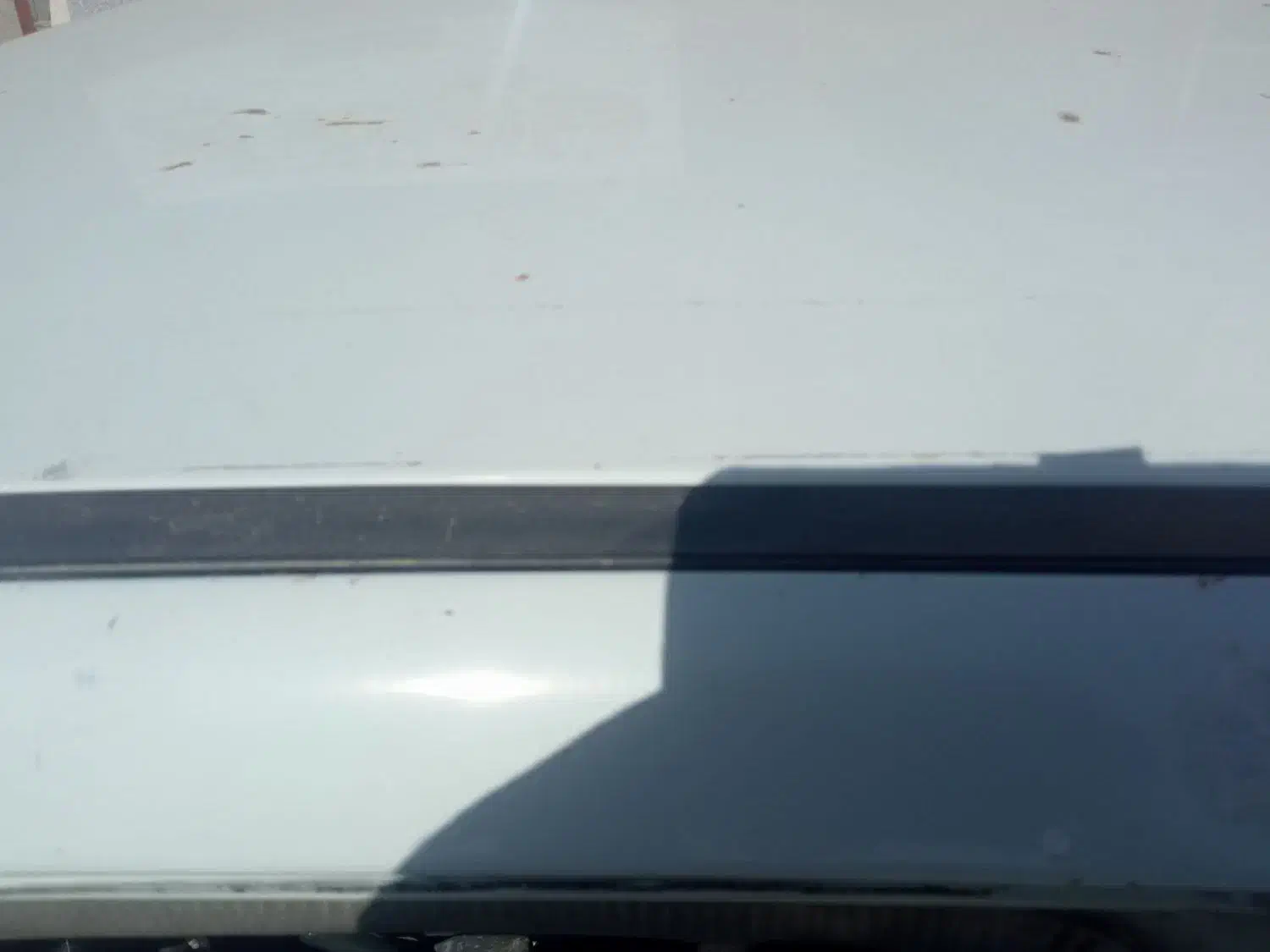 پرایدمدل ۸۱|خودرو سواری و وانت|بیرجند, |دیوار