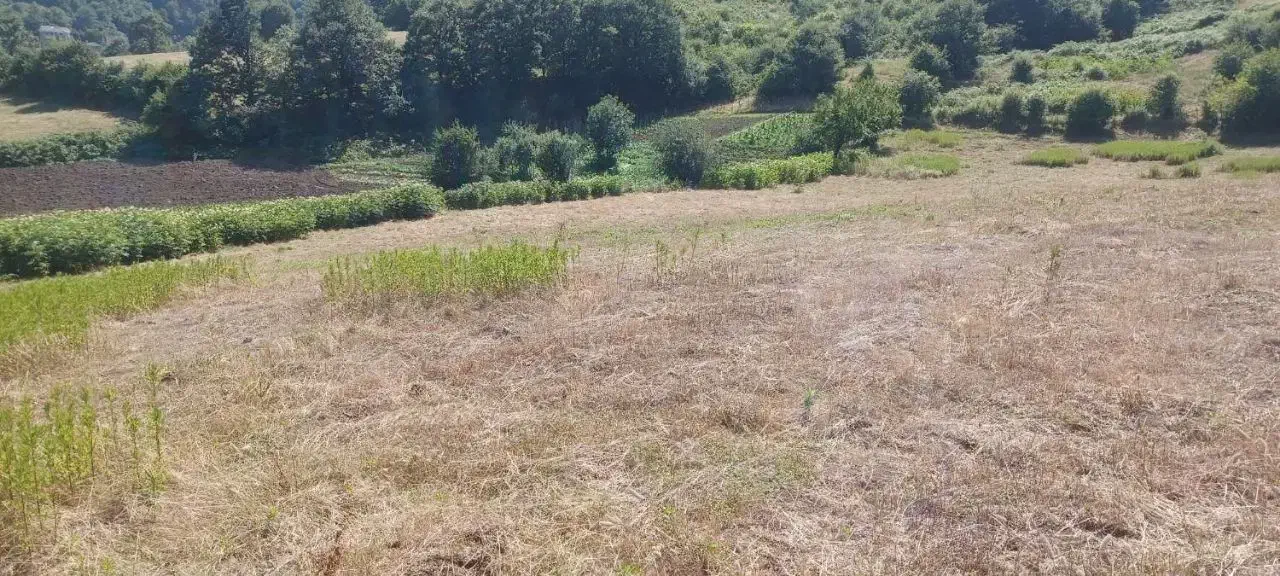 1000mزمین 60mقابل ساخت گردنه حیران|فروش زمین و ملک کلنگی|آستارا, |دیوار