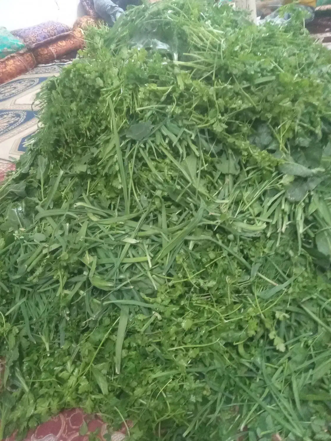 امسال ثبت سفارش انواع سبزی خام وسبزی خورشتی ابپز|خوردنی و آشامیدنی|شاهینشهر, نظامی|دیوار